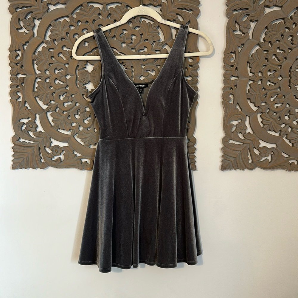 Express Velvet dress